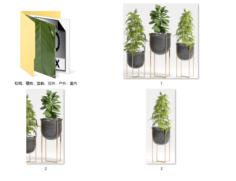 室内外植物盆栽-高精度模型+贴图