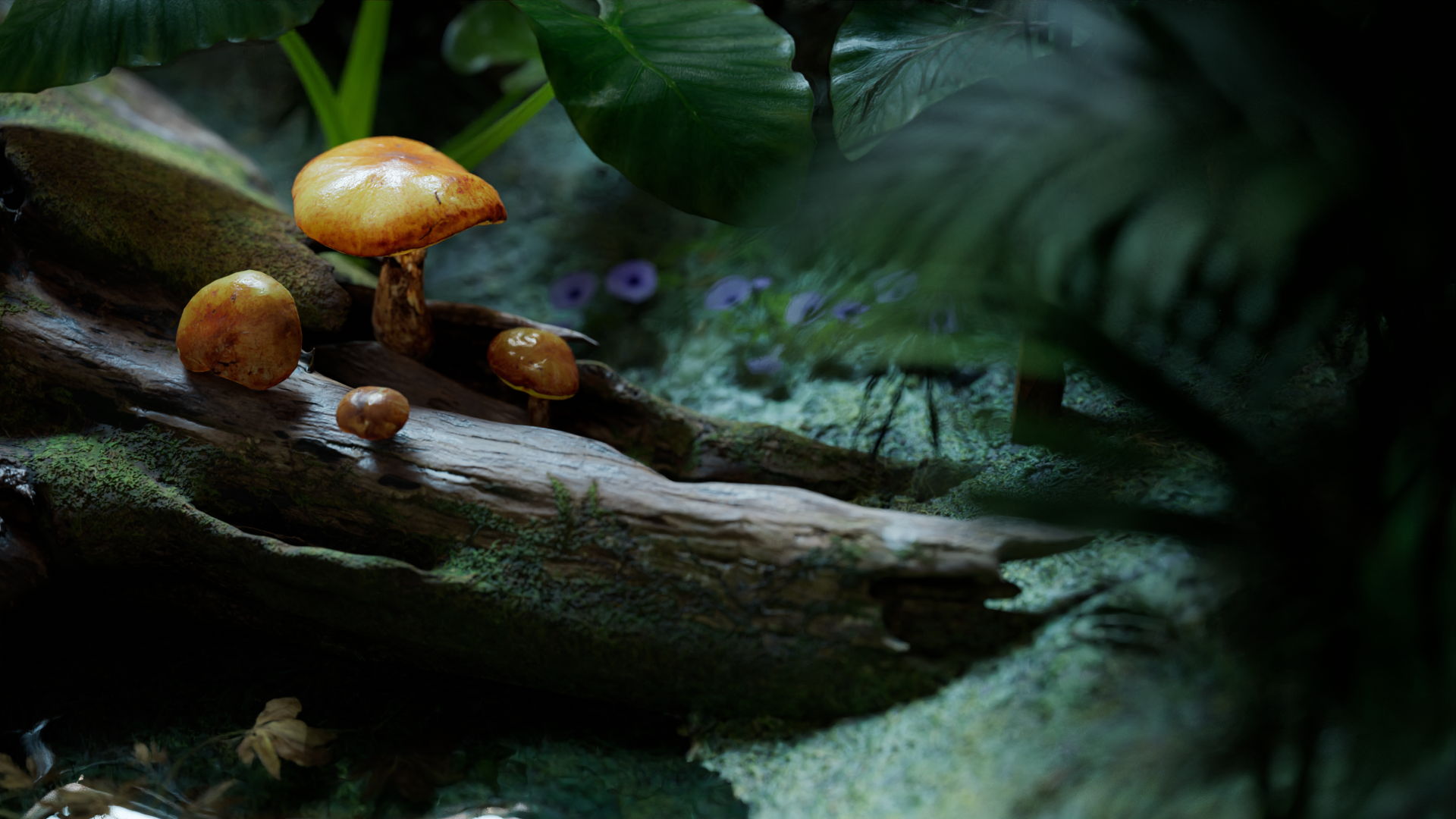 blender 蘑菇
