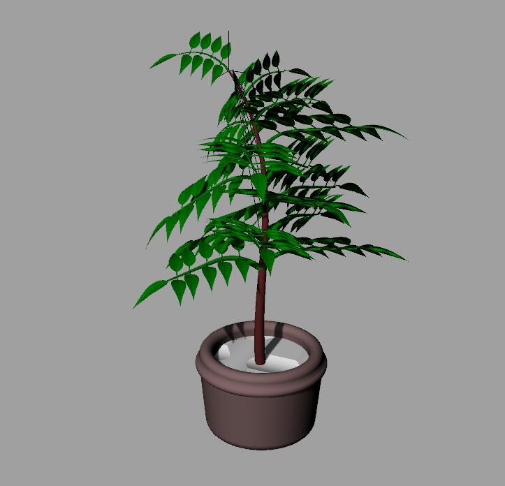 盆栽植物 可make 2D